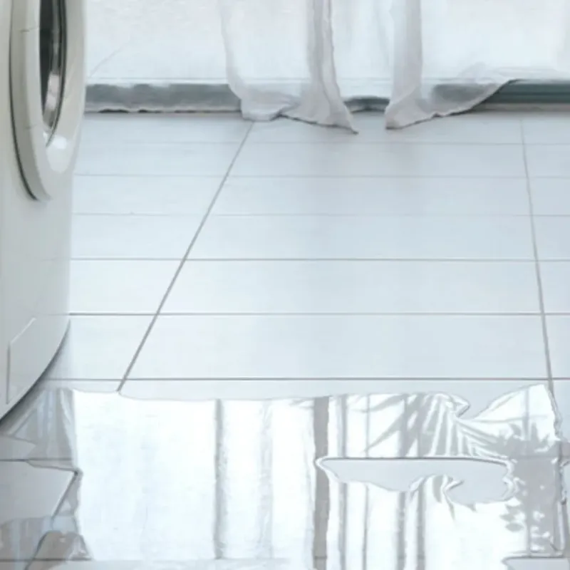 Appliance Leak Cleanup in Lacoochee, FL