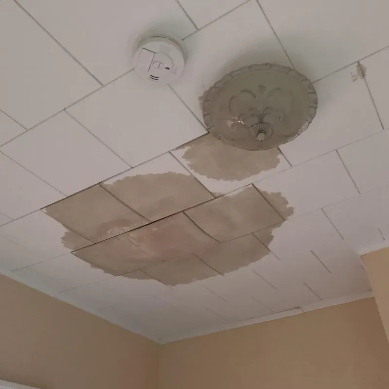 Ceiling Water Damage Repair in Lacoochee, FL