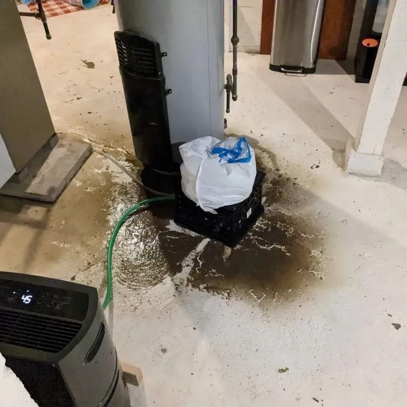 Sewage Backup Cleanup Service in Lacoochee, FL